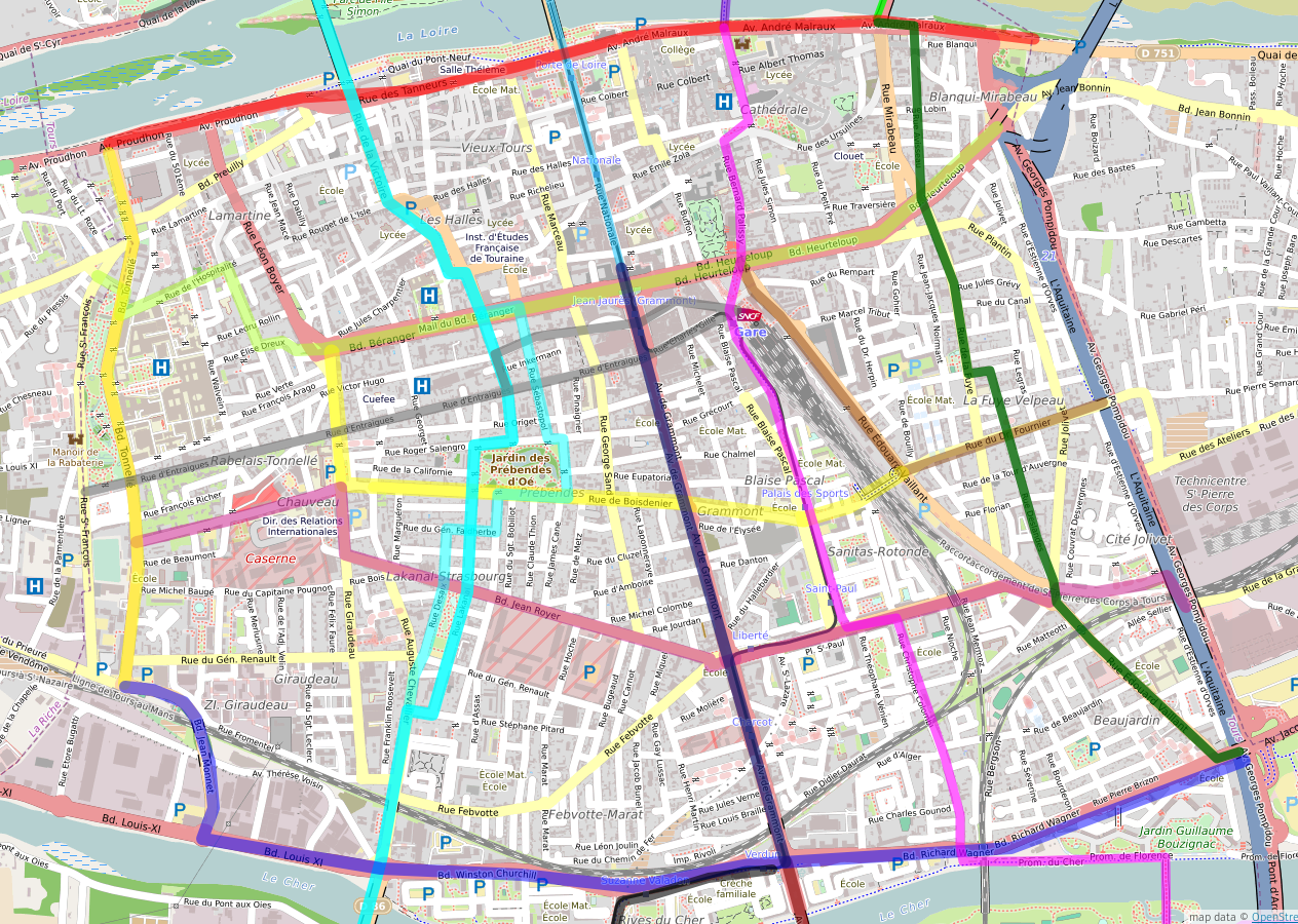 Vue des lignes sur Tours centre de la future carte des temps de trajets à Tours.