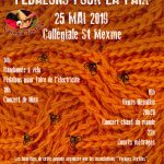 Flyer de la Journée solidaire « Pédalons pour la Paix », qui se déroule le samedi 25 mai 2019 à la Collégiale Saint-Mexme à Chinon