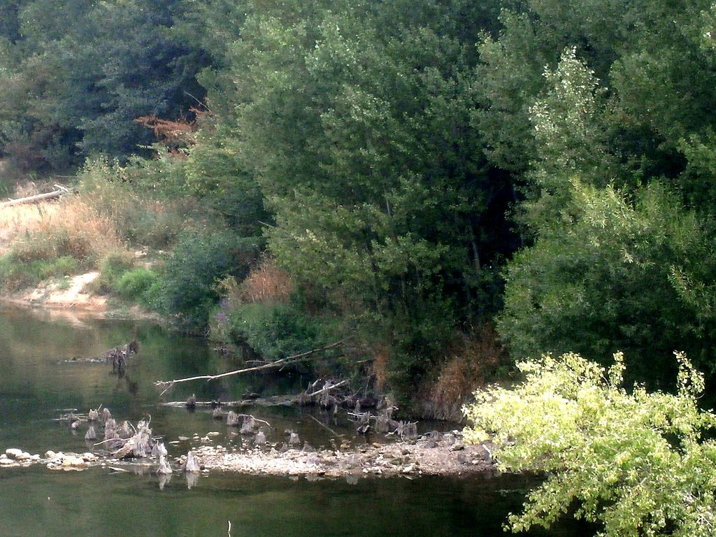 pieux-pont-ier-siecle