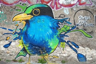 Street Art à Tours et Saint-Pierre-des-Corps. @CC37, 2017.