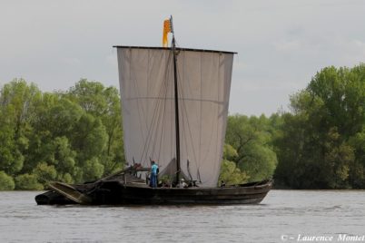 Balades estivales 2021 : « Le patrimoine naturel de Touraine : Tours au fil de l’eau »