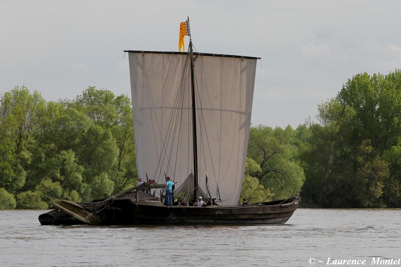 Une gabarre sur la Loire. @Photo : Laurence Montet