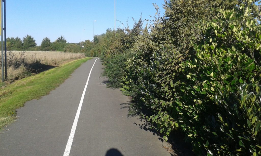 Mauvais entretien d'un aménagement cyclable : la piste Pinauderie, à Saint-Cyr-sur-Loire. @photo : Collectif Cycliste 37, 2015.