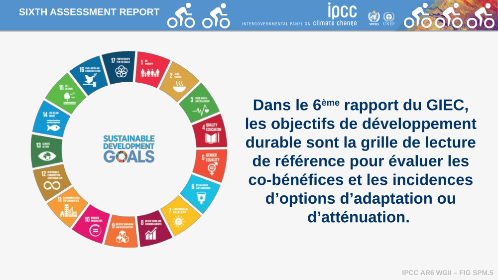 Gonéri Le Cozannet et Valérie Masson-Delmotte. Le vélo dans le 6ème rapport du GIEC. Compilation des références au vélo dans le 6ème rapport du GIEC, mai 2022.