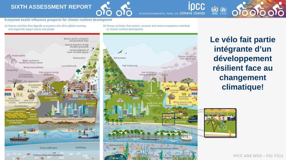 Gonéri Le Cozannet et Valérie Masson-Delmotte. Le vélo dans le 6ème rapport du GIEC. Compilation des références au vélo dans le 6ème rapport du GIEC, mai 2022.