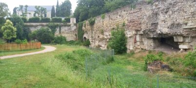 Dimanche 22 juin 2025 : balade à vélo sur le thème « La nature en ville à Tours »